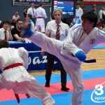 Vienna Open Karate Meisterschaft 2024