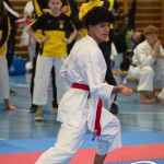 Österreichische Karate Meisterschaft 2024