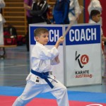 Österreichische Karate Meisterschaft 2024