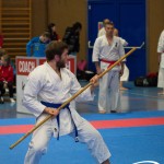 Österreichische Karate Meisterschaft 2024