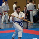 Österreichische Karate Meisterschaft 2024