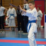 Österreichische Karate Meisterschaft 2024