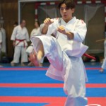 Österreichische Karate Meisterschaft 2024