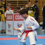 Österreichische Karate Meisterschaft 2024