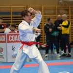 Österreichische Karate Meisterschaft 2024