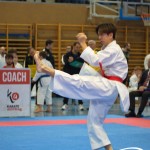 Österreichische Karate Meisterschaft 2024