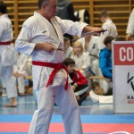 Österreichische Karate Meisterschaft 2024