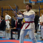 Österreichische Karate Meisterschaft 2024