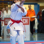 Österreichische Karate Meisterschaft 2024