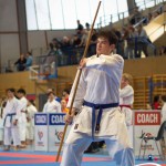 Österreichische Karate Meisterschaft 2024