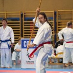 Österreichische Karate Meisterschaft 2024