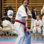 Österreichische Karate Meisterschaft 2024