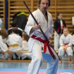 Österreichische Karate Meisterschaft 2024