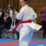 Österreichische Karate Meisterschaft 2024