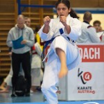 Österreichische Karate Meisterschaft 2024