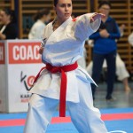 Österreichische Karate Meisterschaft 2024