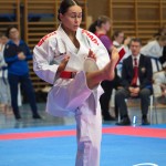 Österreichische Karate Meisterschaft 2024