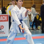 Österreichische Karate Meisterschaft 2024