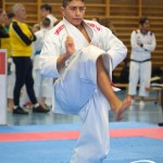 Österreichische Karate Meisterschaft 2024