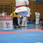 Österreichische Karate Meisterschaft 2024