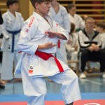 Österreichische Karate Meisterschaft 2024