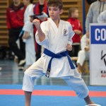 Österreichische Karate Meisterschaft 2024