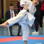 Österreichische Karate Meisterschaft 2024