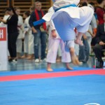 Österreichische Karate Meisterschaft 2024