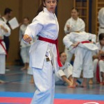 Österreichische Karate Meisterschaft 2024