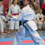 Österreichische Karate Meisterschaft 2024