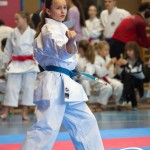 Österreichische Karate Meisterschaft 2024