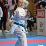 Österreichische Karate Meisterschaft 2024