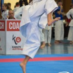 Österreichische Karate Meisterschaft 2024