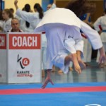 Österreichische Karate Meisterschaft 2024