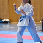 Österreichische Karate Meisterschaft 2024