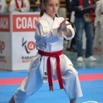 Österreichische Karate Meisterschaft 2024