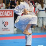 Österreichische Karate Meisterschaft 2024