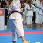 Österreichische Karate Meisterschaft 2024