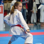 Österreichische Karate Meisterschaft 2024