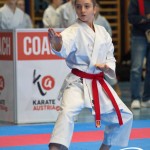 Österreichische Karate Meisterschaft 2024