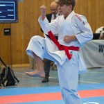 Österreichische Karate Meisterschaft 2024