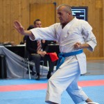 Österreichische Karate Meisterschaft 2024