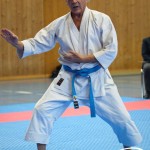 Österreichische Karate Meisterschaft 2024