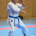 Österreichische Karate Meisterschaft 2024