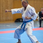 Österreichische Karate Meisterschaft 2024