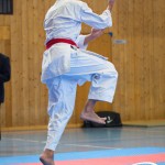 Österreichische Karate Meisterschaft 2024