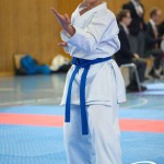 Österreichische Karate Meisterschaft 2024