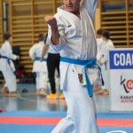 Österreichische Karate Meisterschaft 2024