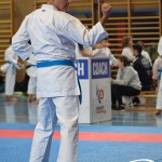 Österreichische Karate Meisterschaft 2024