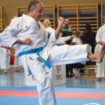 Österreichische Karate Meisterschaft 2024